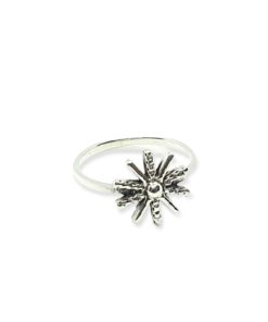 Anillo de plata