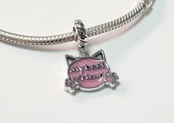 Charm Mi mejor amigo